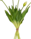 White Spring Tulip Stems - Bunch Of Five - PRE ORDER TWO WEEK DELIVERY