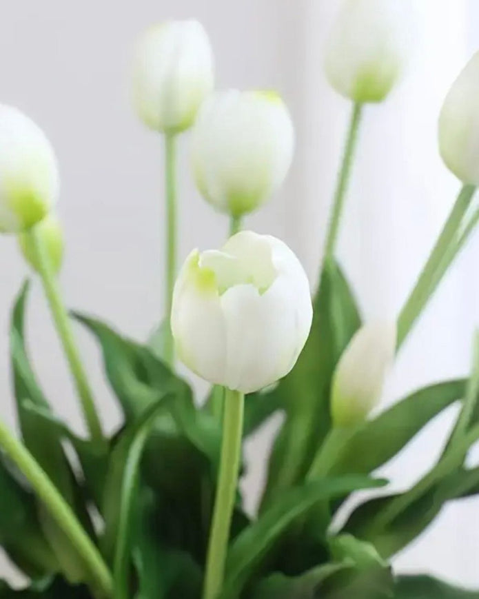 White Spring Tulip Stems - Bunch Of Five - PRE ORDER TWO WEEK DELIVERY