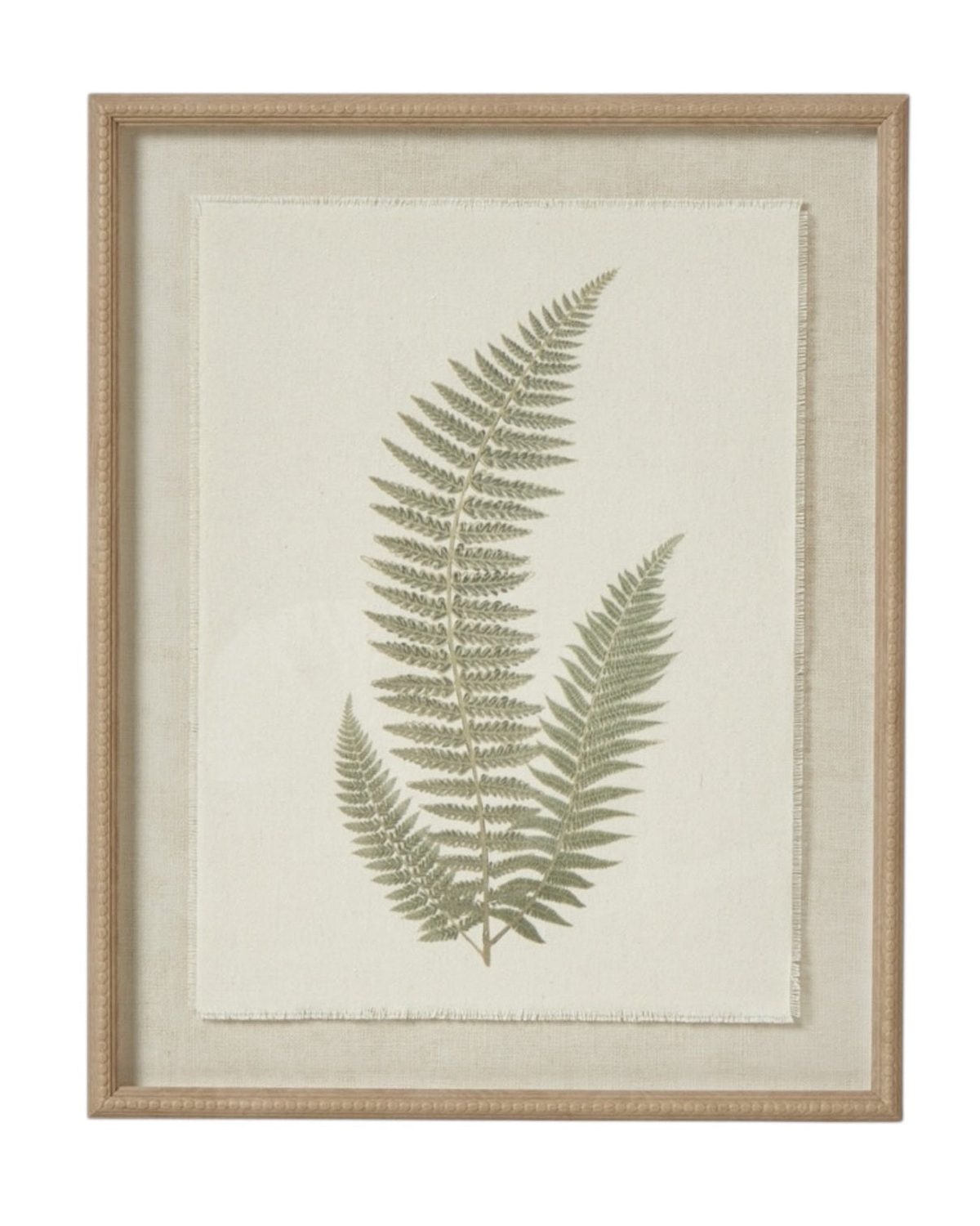 Wooden Framed Vintage Wall Art Print - Green Ferns