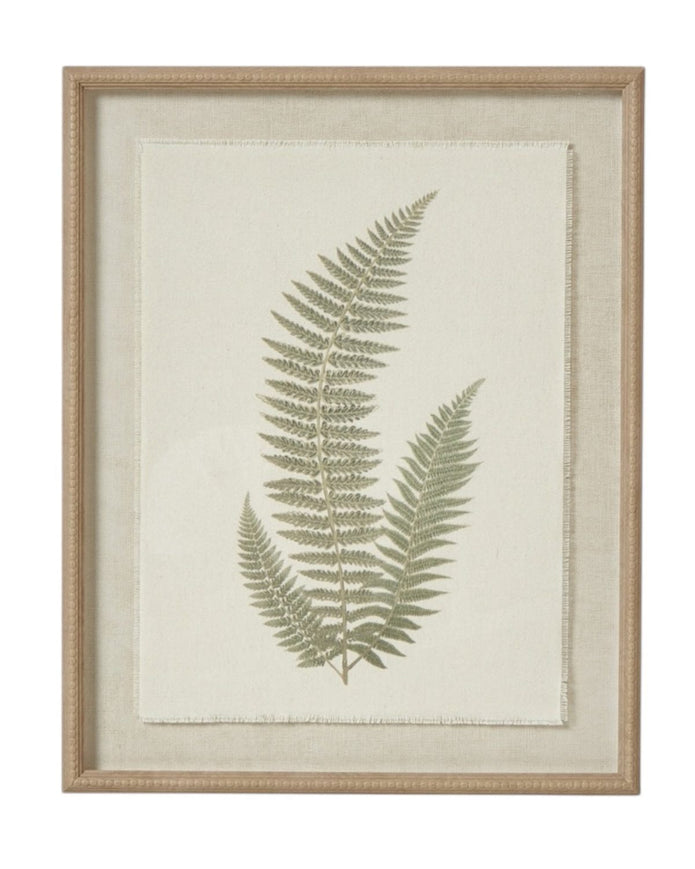 Wooden Framed Vintage Wall Art Print - Green Ferns