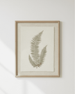 Wooden Framed Vintage Wall Art Print - Green Ferns