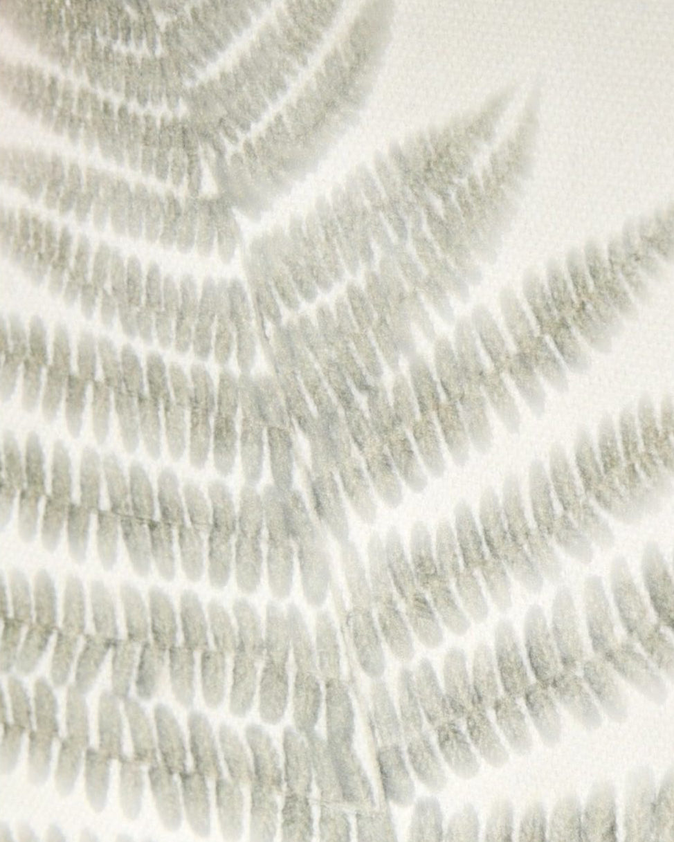 Wooden Framed Vintage Wall Art Print - Green Ferns