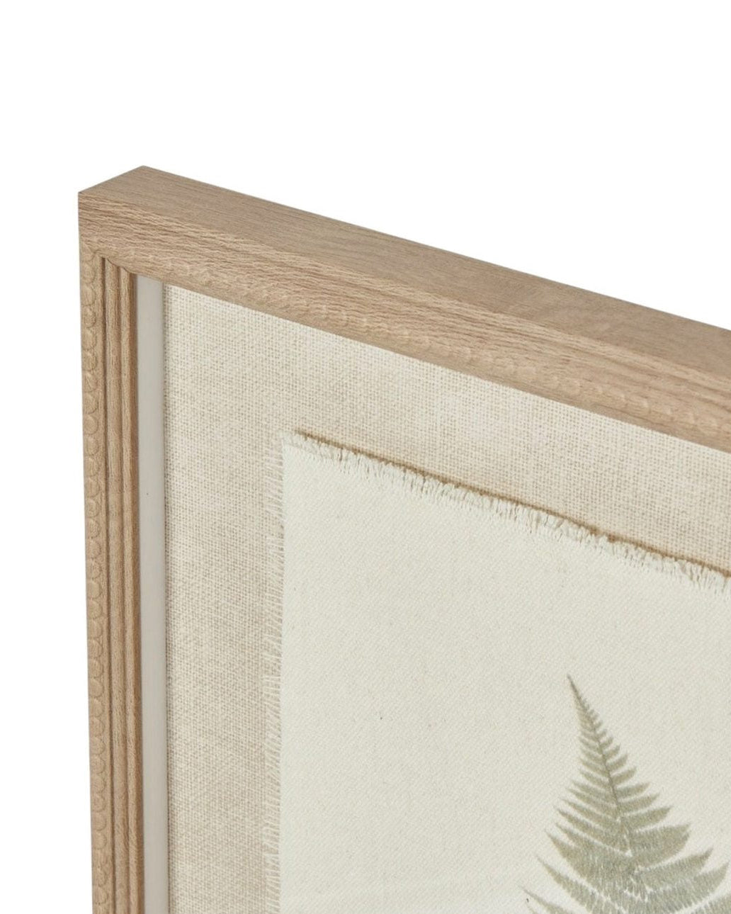 Wooden Framed Vintage Wall Art Print - Green Ferns