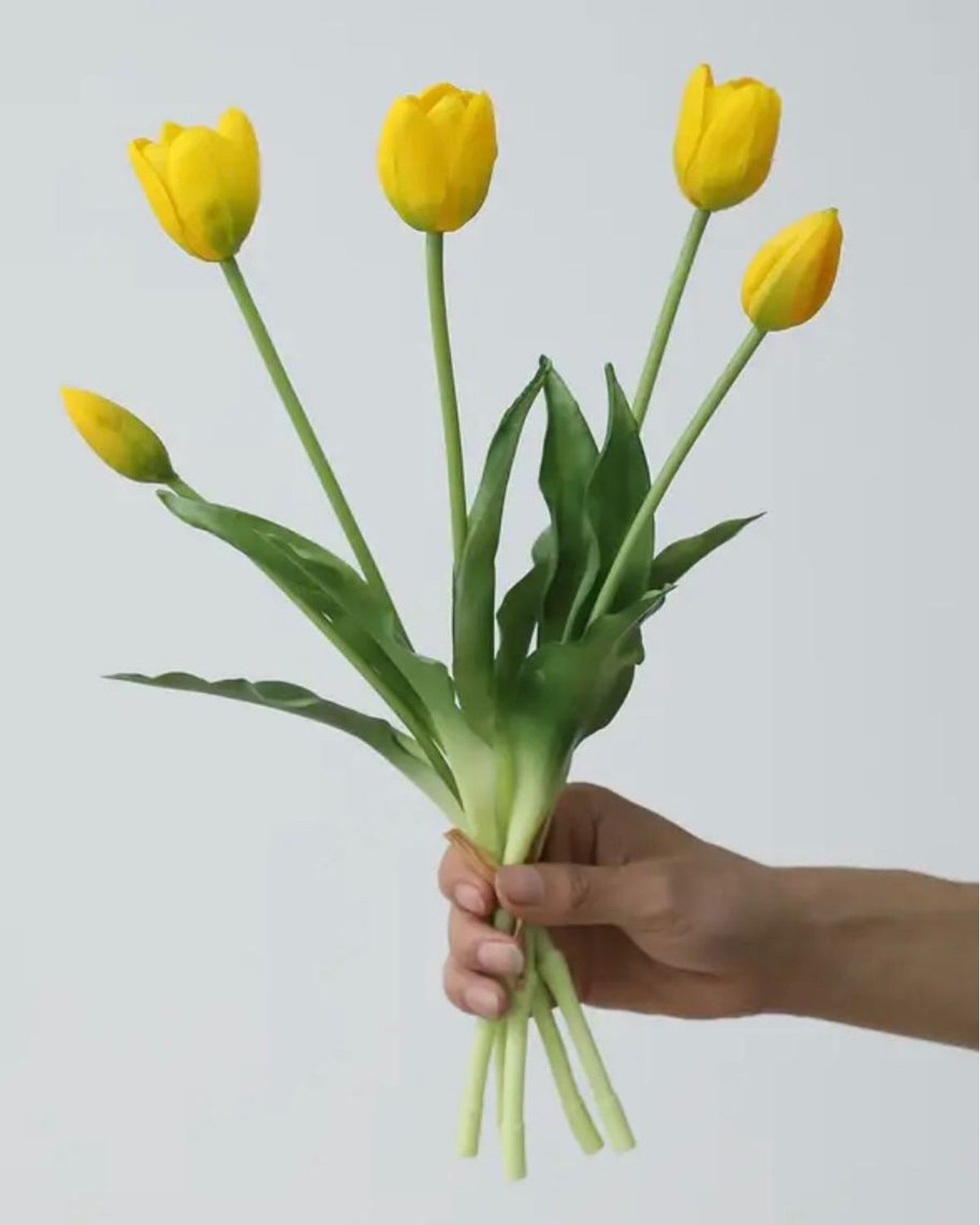 Yellow Spring Tulips Stems - Bunch Of Five - PRE ORDER THREE WEEK DELIVERY