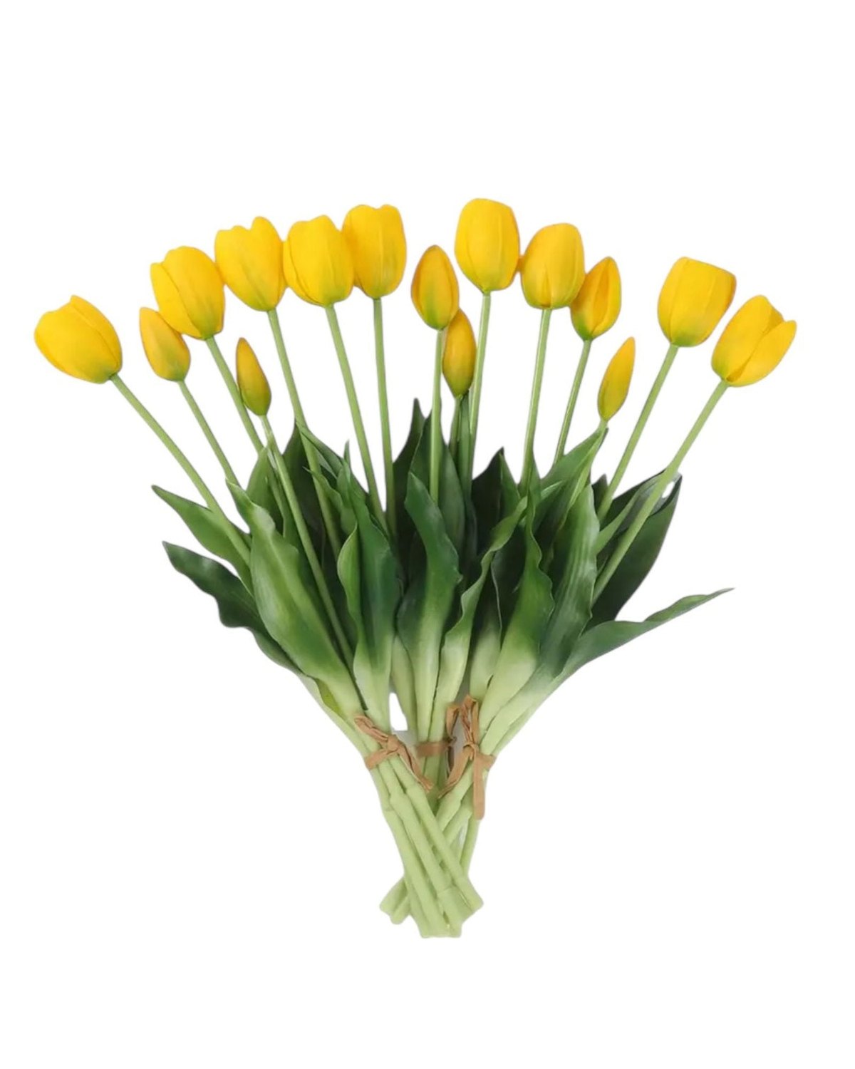 Yellow Spring Tulips Stems - Bunch Of Five - PRE ORDER THREE WEEK DELIVERY