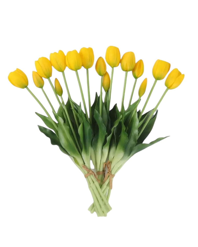 Yellow Spring Tulips Stems - Bunch Of Five - PRE ORDER THREE WEEK DELIVERY