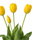Yellow Tulip Stems - Bunch of 5 Artificial Spring Flowers