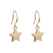 Emily Star Hook Earrings