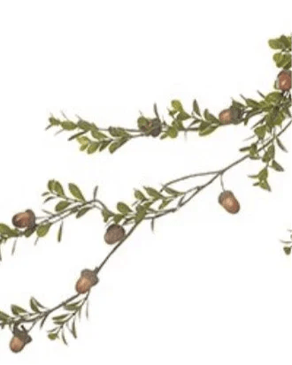 Acorn and Green Leaf Garland – Elegant Autumn Greenery Decor - Faux Plants & FlowersFaux Plants & Flowers - Lulu Loves Home