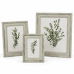 Three sizes of Alba distressed neutral wooden photo frame on white, sold individually