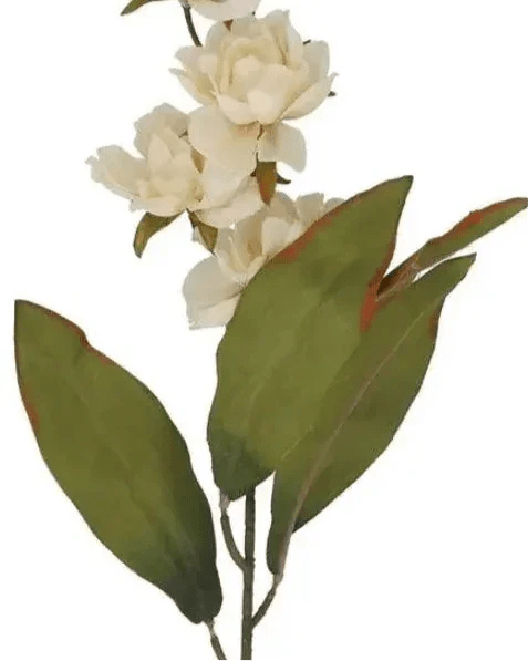 Antique Cream Double Magnolia Stem - Faux Plants & FlowersFaux Plants & Flowers - Lulu Loves Home