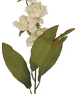 Antique Cream Double Magnolia Stem - Faux Plants & FlowersFaux Plants & Flowers - Lulu Loves Home