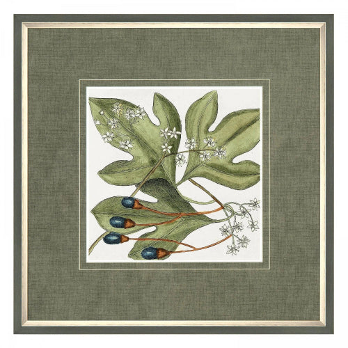 Art Marketing - Canvas Framed Print, Botanical Beauty - PRE ORDER FOUR WEEK DELIVERY - Posters, Prints, & Visual ArtworkPosters, Prints, & Visual Artwork - Lulu Loves Home