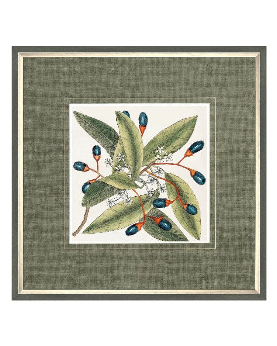 Art Marketing - Canvas Framed Print, Botanical Style - PRE ORDER FOUR WEEK DELIVERY - Posters, Prints, & Visual ArtworkPosters, Prints, & Visual Artwork - Lulu Loves Home