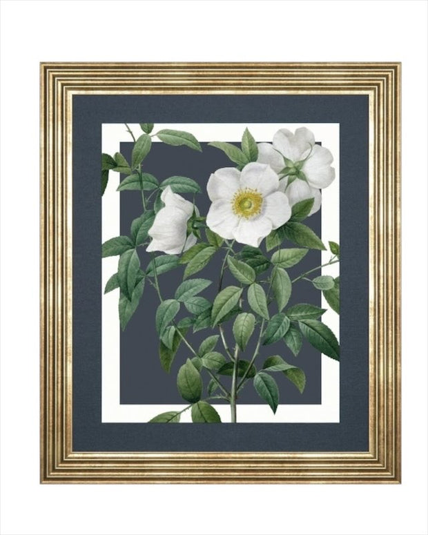 Art Marketing - Canvas Framed Print, Rosa Nivea - PRE ORDER FOUR WEEK DELIVERY - Posters, Prints, & Visual ArtworkPosters, Prints, & Visual Artwork - Lulu Loves Home