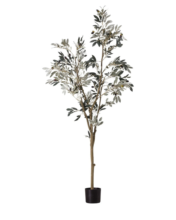 Artifical Potted Olive Tree - Large - Romano - PRE ORDER MID JUNE DELIVERY - Faux Plants & FlowersFaux Plants & Flowers - Lulu Loves Home