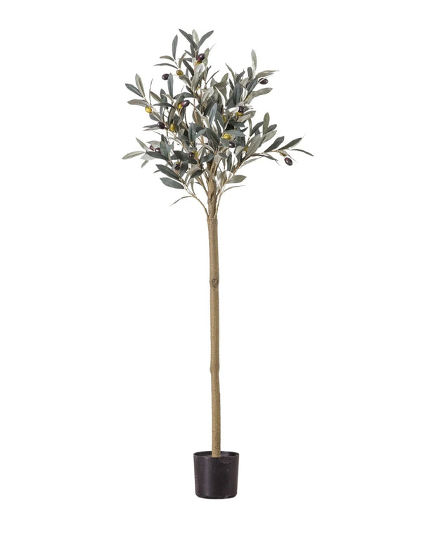 Artifical Potted Olive Tree - Medium - Romano - PRE ORDER MID JUNE DELIVERY - Faux Plants & FlowersFaux Plants & Flowers - Lulu Loves Home