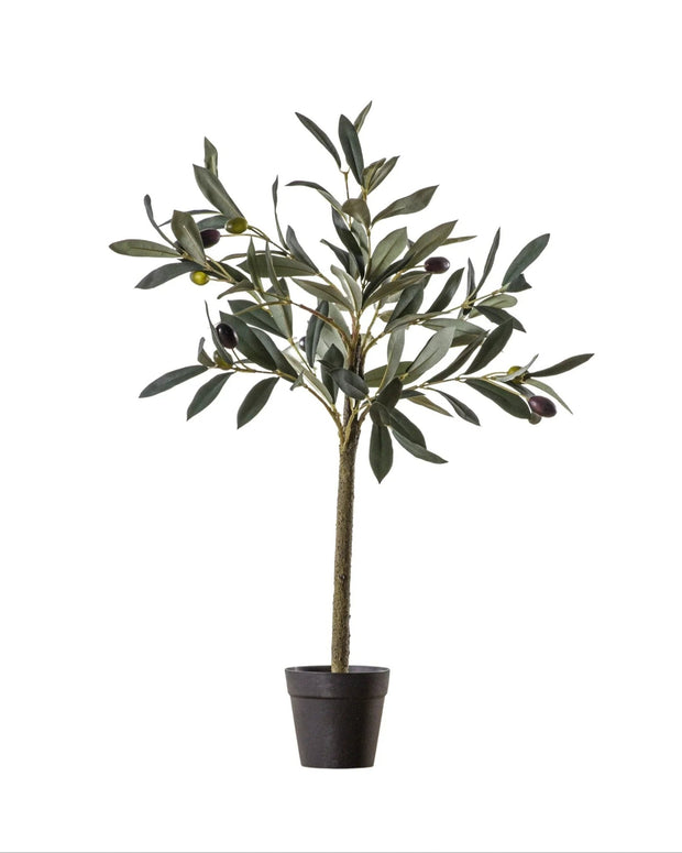Artifical Potted Olive Tree - Small - Romano - PRE ORDER MID JUNE DELIVERY - Faux Plants & FlowersFaux Plants & Flowers - Lulu Loves Home
