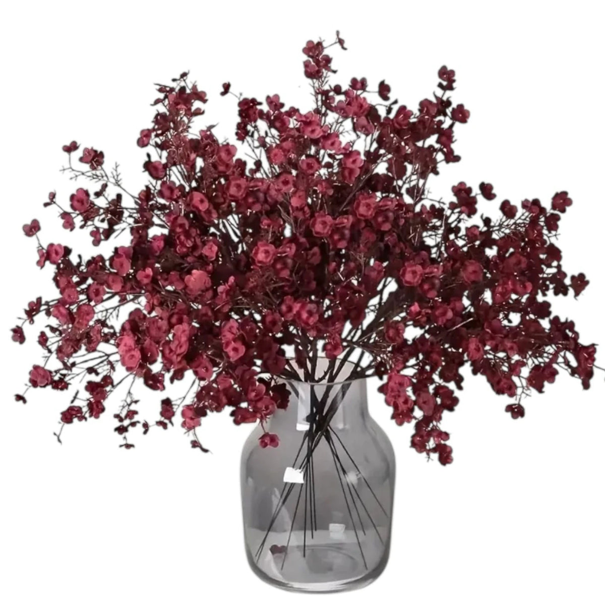 Multiple burgundy gypsophila stems displayed in a clear glass vase.