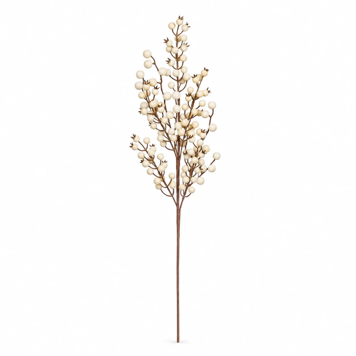 Complete 60cm cream berry stem with brown branches on a white background.