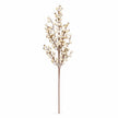 Complete 60cm cream berry stem with brown branches on a white background.