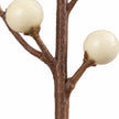 Detail of the cream berry stem's brown branch junction and pale berries.