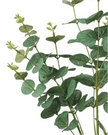 Artificial Eucalyptus Bunch Stem - Large - Faux Plants & FlowersFaux Plants & Flowers - Lulu Loves Home