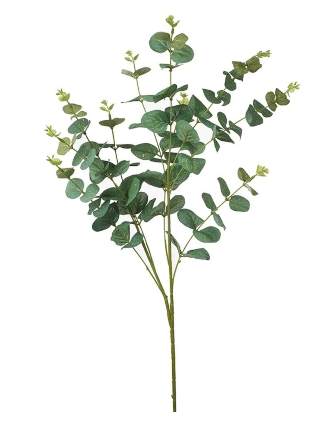 Artificial Eucalyptus Bunch Stem - Large - Faux Plants & FlowersFaux Plants & Flowers - Lulu Loves Home