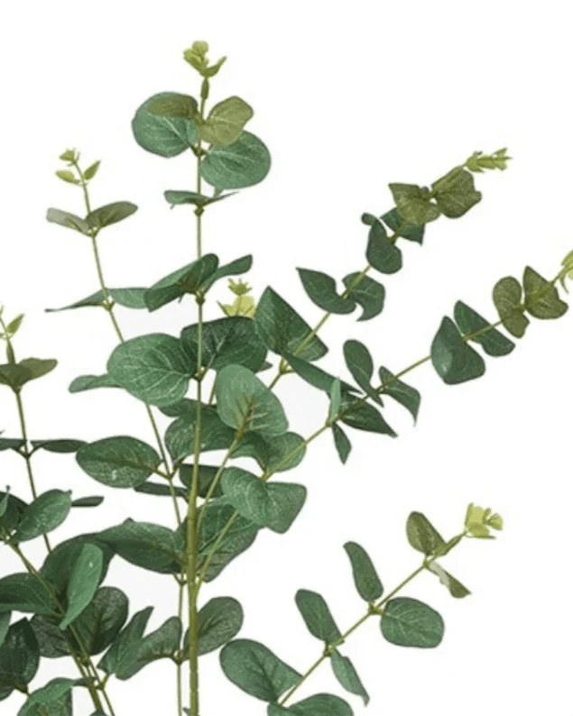 Artificial Eucalyptus Bunch Stem - Large - Faux Plants & FlowersFaux Plants & Flowers - Lulu Loves Home