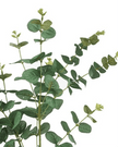 Artificial Eucalyptus Bunch Stem - Large - Faux Plants & FlowersFaux Plants & Flowers - Lulu Loves Home