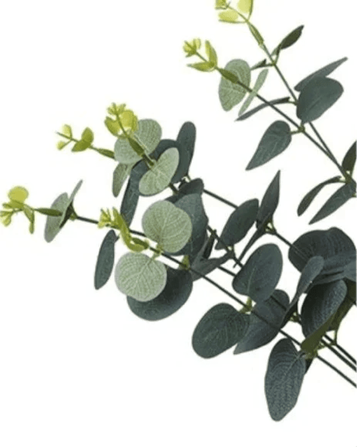 Artificial Eucalyptus Bunch Stem - Medium - Faux Plants & FlowersFaux Plants & Flowers - Lulu Loves Home