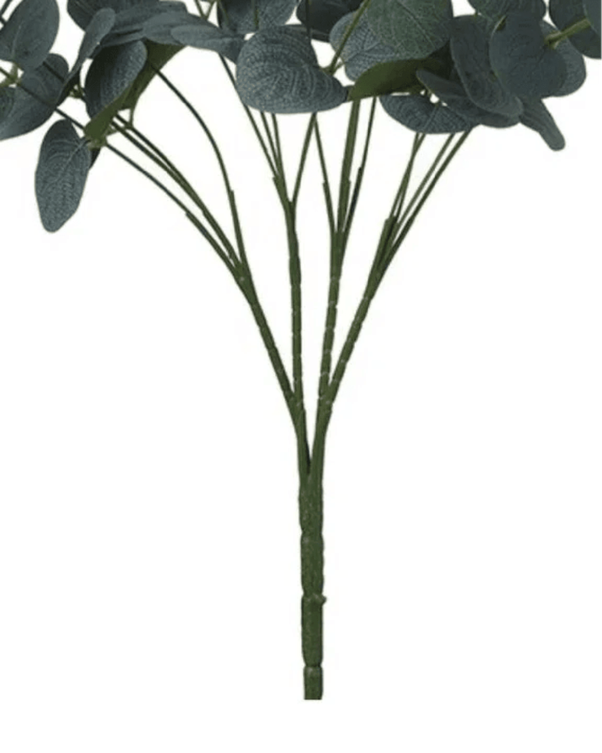 Artificial Eucalyptus Bunch Stem - Medium - Faux Plants & FlowersFaux Plants & Flowers - Lulu Loves Home