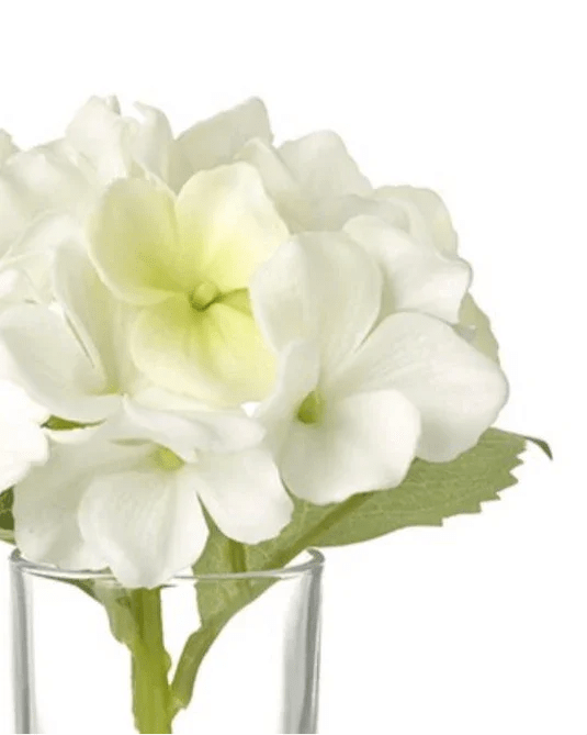 Artificial Mini White Hydrangea Stem In A Glass Bud Vase - Faux Plants & FlowersFaux Plants & Flowers - Lulu Loves Home
