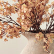 Artificial Peach And Brown Gypsophelia Stem, close-up of peach and brown flowers above the jug rim