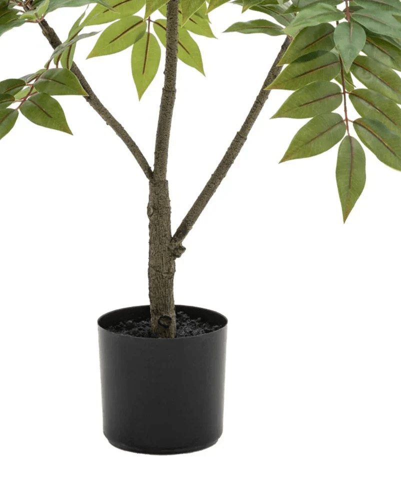 Artificial Potted Chinese White Olive Tree - Large - PRE ORDER FOUR WEEK DELIVERY - Faux Plants & FlowersFaux Plants & Flowers - Lulu Loves Home