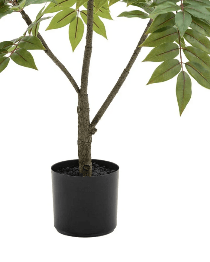 Artificial Potted Chinese White Olive Tree - Large - PRE ORDER FOUR WEEK DELIVERY - Faux Plants & FlowersFaux Plants & Flowers - Lulu Loves Home