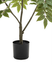 Artificial Potted Chinese White Olive Tree - Large - PRE ORDER FOUR WEEK DELIVERY - Faux Plants & FlowersFaux Plants & Flowers - Lulu Loves Home