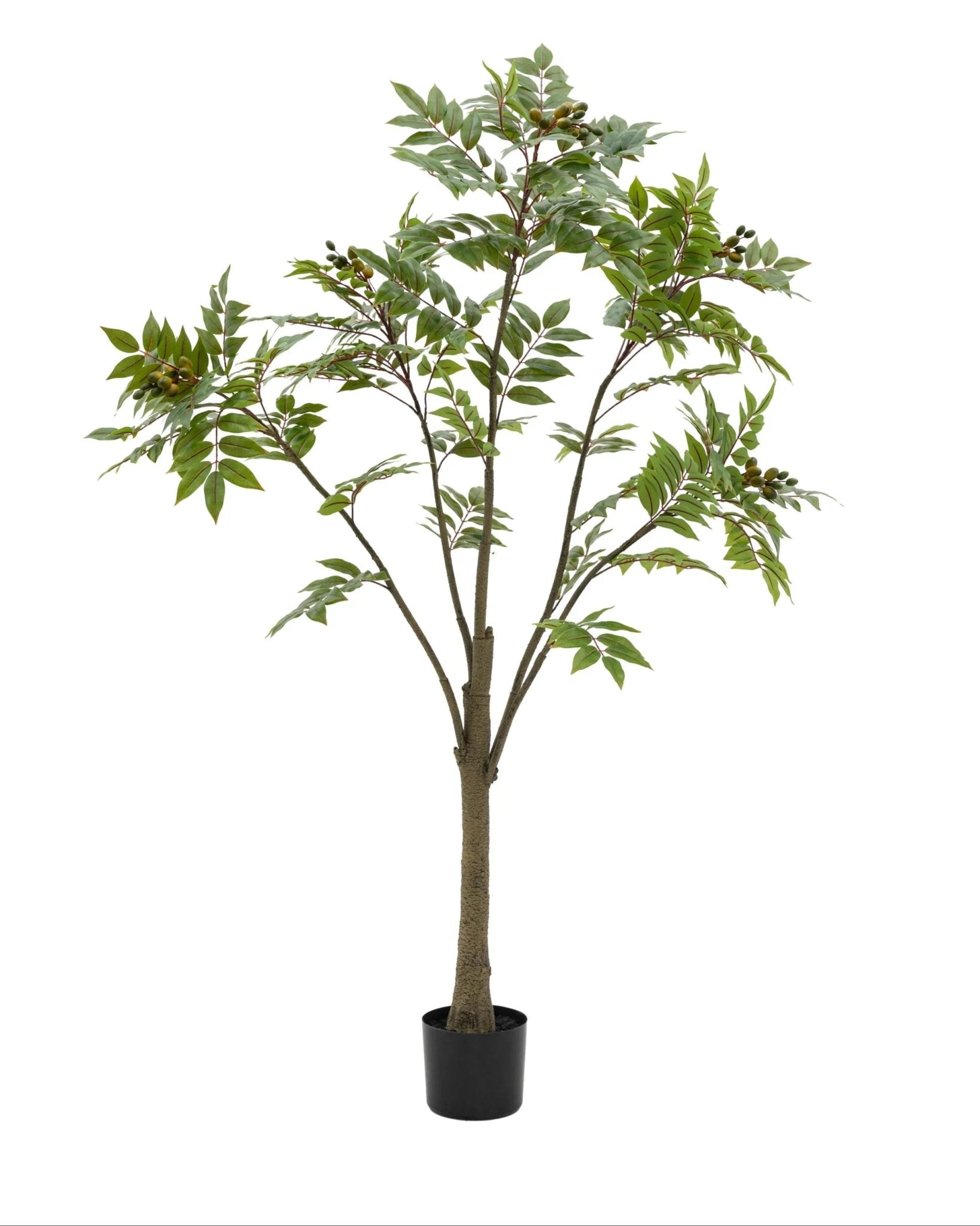 Artificial Potted Chinese White Olive Tree - Large - PRE ORDER FOUR WEEK DELIVERY - Faux Plants & FlowersFaux Plants & Flowers - Lulu Loves Home