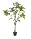 Artificial Potted Chinese White Olive Tree - Large - PRE ORDER FOUR WEEK DELIVERY - Faux Plants & FlowersFaux Plants & Flowers - Lulu Loves Home