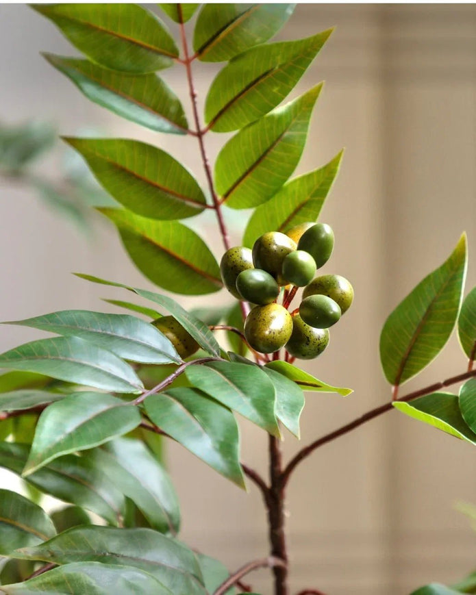 Artificial Potted Chinese White Olive Tree - Large - PRE ORDER FOUR WEEK DELIVERY - Faux Plants & FlowersFaux Plants & Flowers - Lulu Loves Home