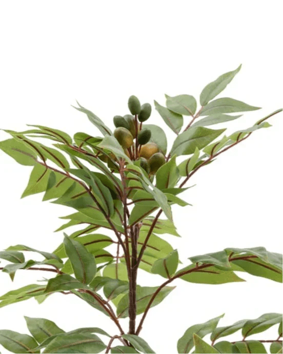 Artificial Potted Chinese White Olive Tree - Large - PRE ORDER FOUR WEEK DELIVERY - Faux Plants & FlowersFaux Plants & Flowers - Lulu Loves Home