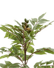 Artificial Potted Chinese White Olive Tree - Large - PRE ORDER FOUR WEEK DELIVERY - Faux Plants & FlowersFaux Plants & Flowers - Lulu Loves Home