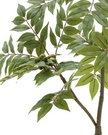 Artificial Potted Chinese White Olive Tree - Large - PRE ORDER FOUR WEEK DELIVERY - Faux Plants & FlowersFaux Plants & Flowers - Lulu Loves Home