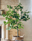 Artificial Potted Eucalyptus Tree - PRE ORDER FOUR WEEK DELIVERY - Faux Plants & FlowersFaux Plants & Flowers - Lulu Loves Home
