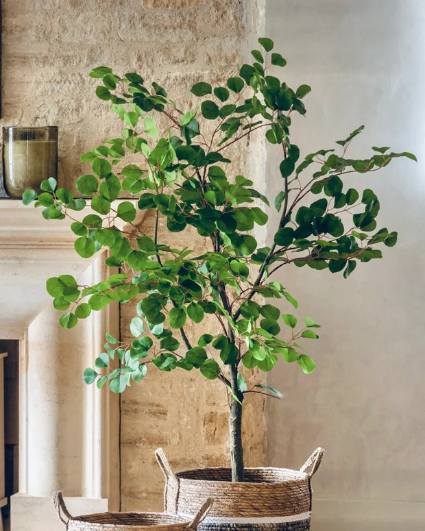Artificial Potted Eucalyptus Tree - PRE ORDER FOUR WEEK DELIVERY - Faux Plants & FlowersFaux Plants & Flowers - Lulu Loves Home