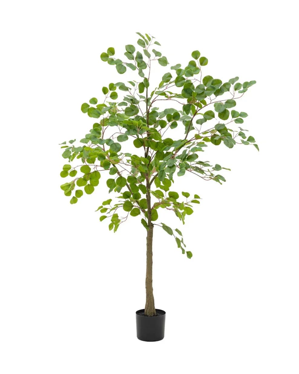 Artificial Potted Eucalyptus Tree - PRE ORDER FOUR WEEK DELIVERY - Faux Plants & FlowersFaux Plants & Flowers - Lulu Loves Home