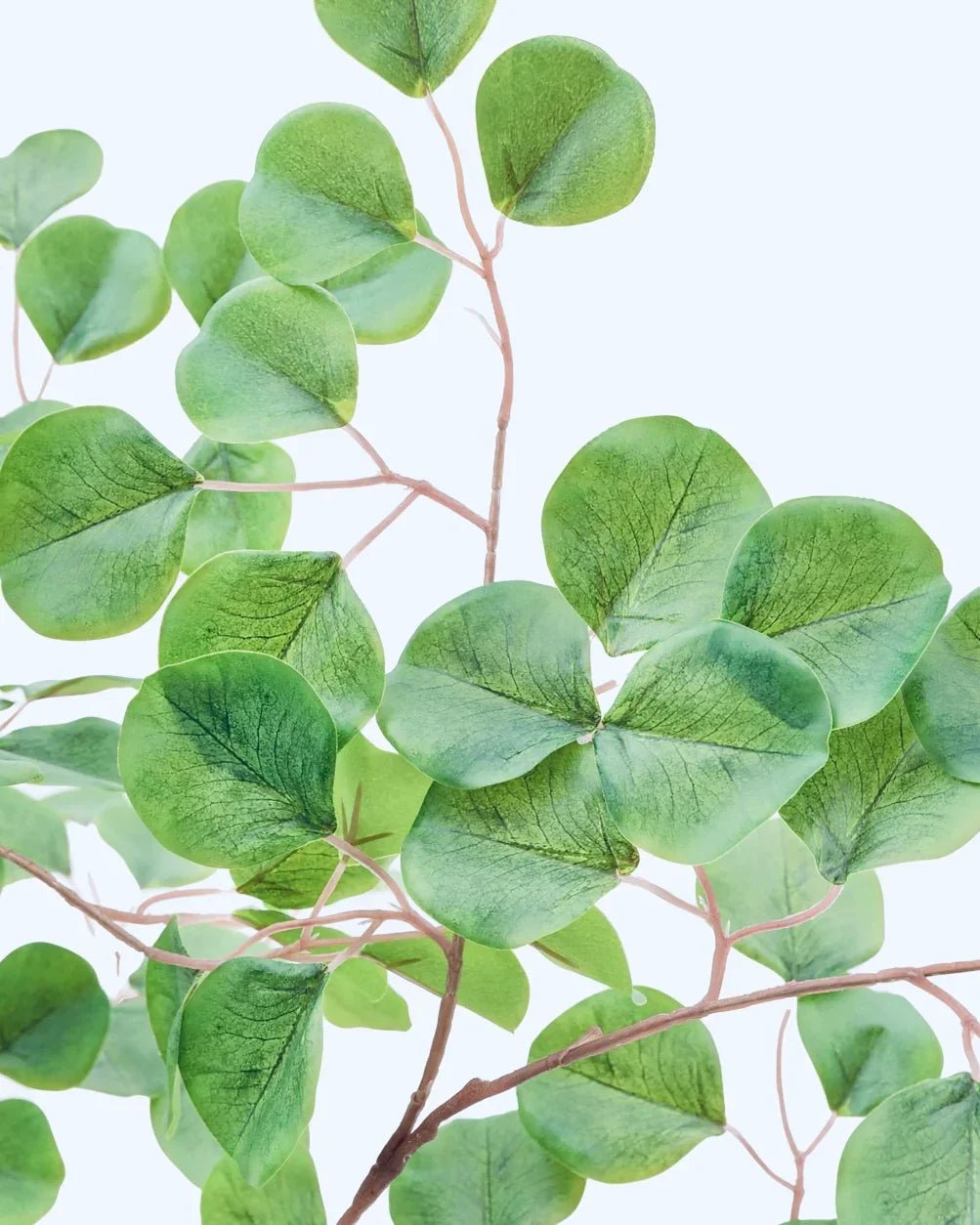 Artificial Potted Eucalyptus Tree - PRE ORDER FOUR WEEK DELIVERY - Faux Plants & FlowersFaux Plants & Flowers - Lulu Loves Home