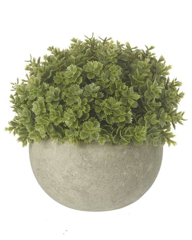 Artificial Potted Hebe Round Plant - Faux Plants & FlowersFaux Plants & Flowers - Lulu Loves Home