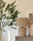 Artificial Potted Olive Tree - Huge - Apulia - Faux Plants & FlowersFaux Plants & Flowers - Lulu Loves Home