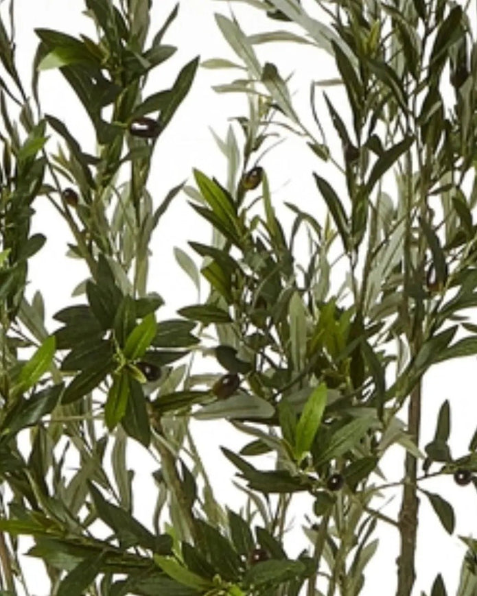 Artificial Potted Olive Tree - Huge - Apulia - Faux Plants & FlowersFaux Plants & Flowers - Lulu Loves Home